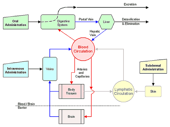 Methods of Drug Delivery