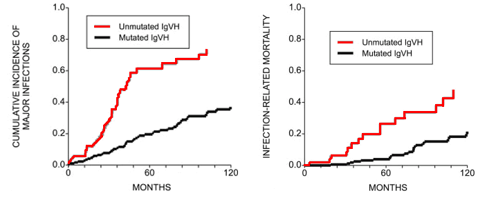 Incidence and Mortality of Infection versus Gene Mutation
