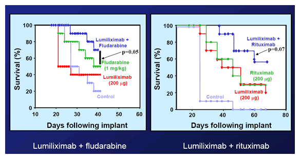 Synergy Lumiliximab and Rituxan