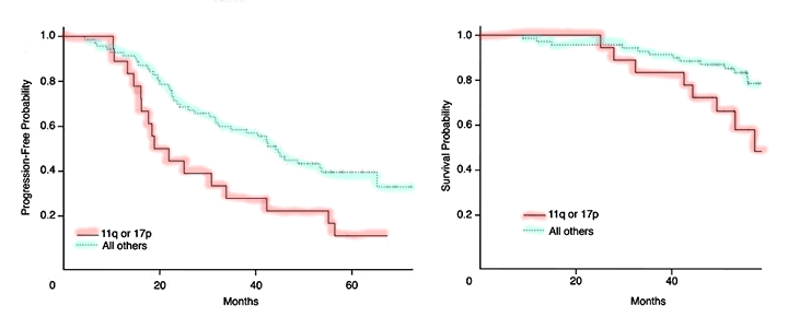 Progression and Survival after RF Therapy by Cytogenetics
