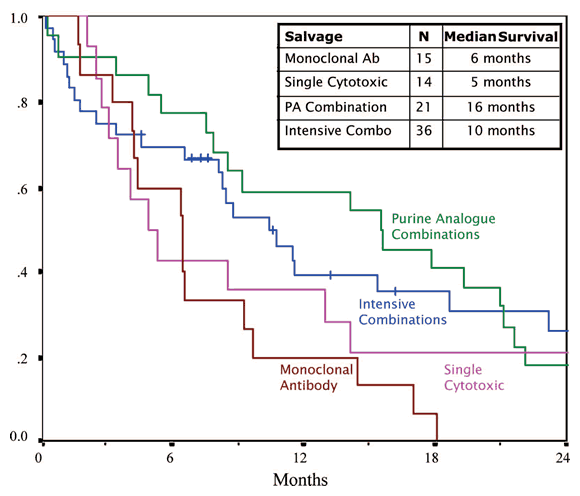 Survival after Salvage Therapy
