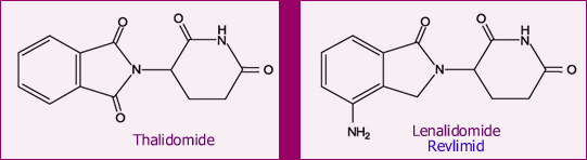Thalidomide Lenalidomide Structures