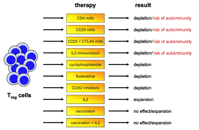 Effect of Therapy on Tregs