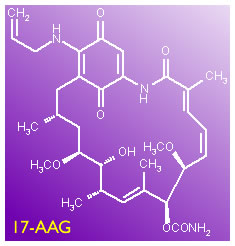 17AAG