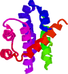 BCL2 image