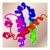Bcl2