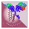 molecular montage