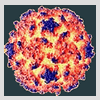 EBV Threat