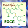 EGCG molecule