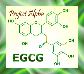 EGCG structure