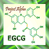 EGCG molecule