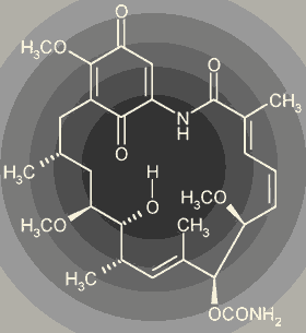 Geldanamycin