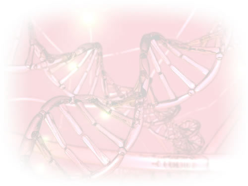 DNA spiral