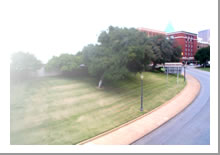 grassy knoll