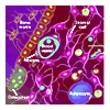 hematopoietic stem cells