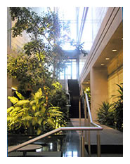 Hillman Atrium 2