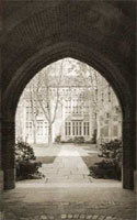 Ivy League Sepia