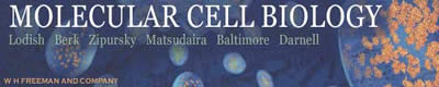 Lodish book image
