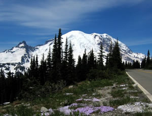 Mt. Ranier