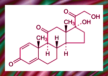 Prednisone