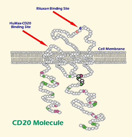 Binding Sites