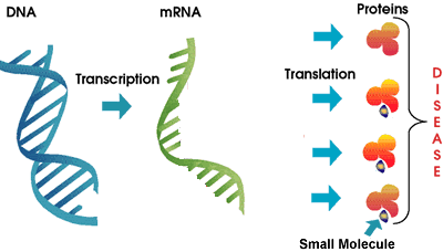 small molecule mechanics