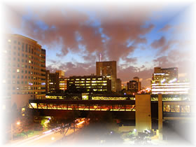Texas Medical Center