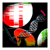 molecular markers