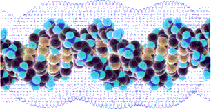 DNA Electrostatic Field
