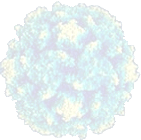 EBV watermark
