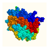 EPO
