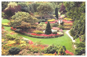 garden scene