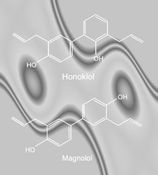 Honokiol & Magnolol Structures