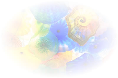 shell glass