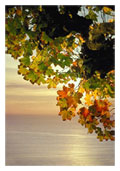 scenery
