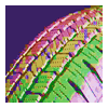 tire tread