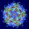 Virus in Blue