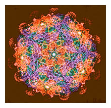 virus tapestry