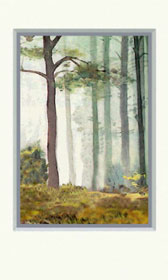 woods