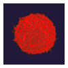 T-cell red