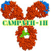 Campath Molecule