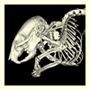 X-ray mouse